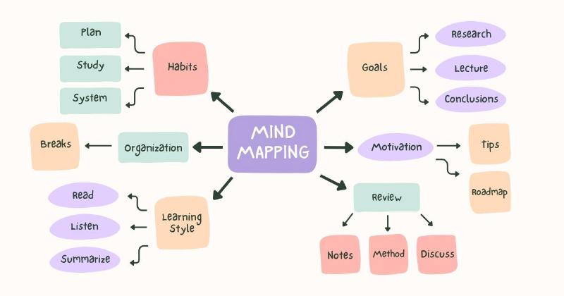Sử dụng phần mềm sơ đồ tư duy không internet