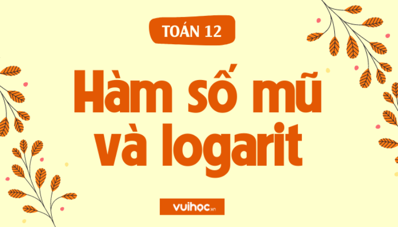 Đồ thị minh họa sự tăng trưởng của hàm số mũ cơ bản y=a^x với các giá trị cơ số a khác nhau.