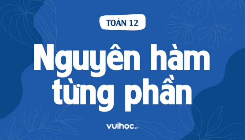 Cách tính nguyên hàm của e mũ 2x từng bước chi tiết và dễ hiểu