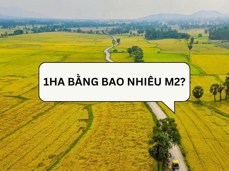 Bảng chuyển đổi nhanh từ hecta sang mét vuông và ngược lại