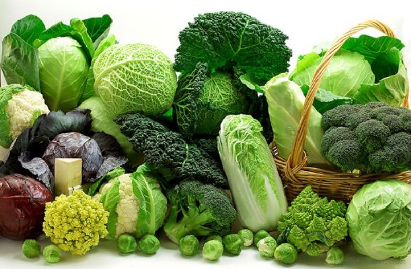 Câu đố về thực phẩm cho trẻ mầm non