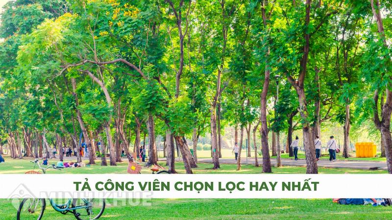 mieu-ta-cay-coi-trong-cong-vien