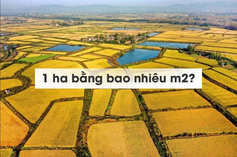 Sơ đồ minh họa công thức đổi cm2 sang m2 từng bước với ví dụ