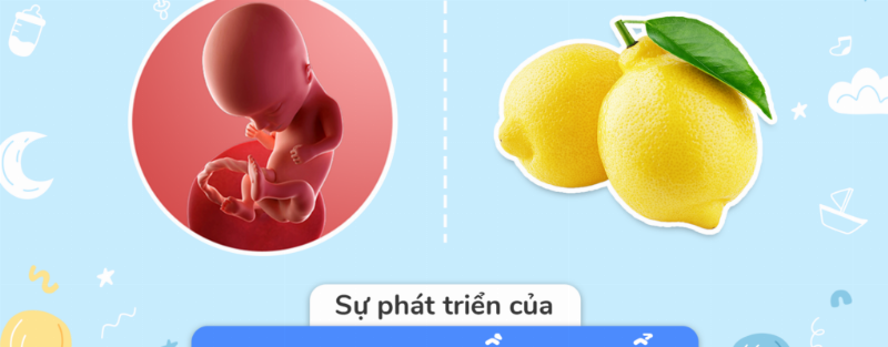 Kinh nghiệm của các mẹ bầu khác về thai máy 14 tuần