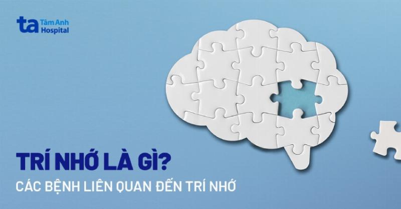 Hình minh họa một bộ não đang hoạt động tốt, với các đường kết nối neuron mạnh mẽ, bao quanh bởi lá đinh lăng