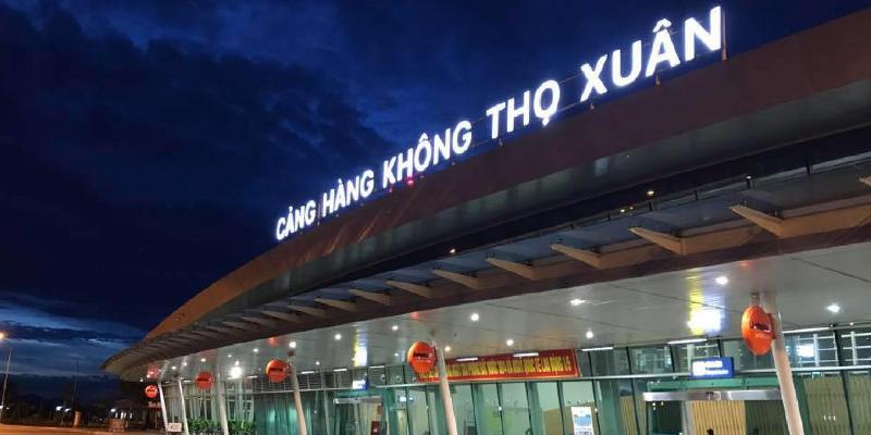 Hình ảnh một đĩa nem tai hoặc gỏi cá được trình bày đẹp mắt với lá đinh lăng tươi ăn kèm như rau sống
