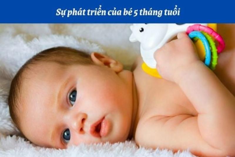 Chân dung một chuyên gia dinh dưỡng Việt Nam (nữ) đang mỉm cười và giải thích điều gì đó, thể hiện sự đáng tin cậy và chuyên môn, background là hình ảnh liên quan đến dinh dưỡng hoặc sức khỏe phụ nữ.