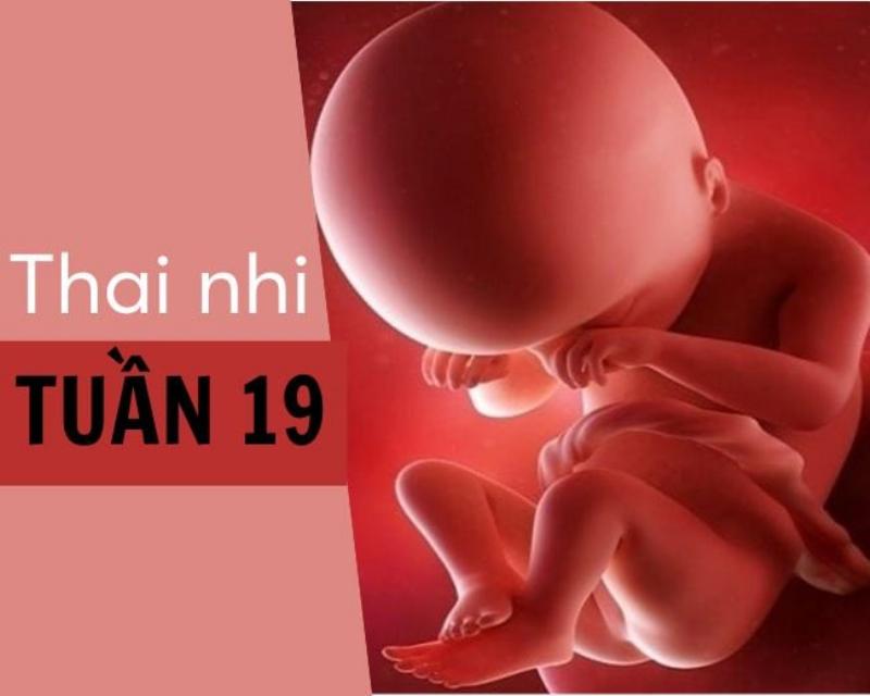 Một người mẹ bầu đang ngồi thư giãn, đọc sách hoặc nghe nhạc, thể hiện sự nghỉ ngơi và chăm sóc bản thân trong thai giáo 3 tháng đầu