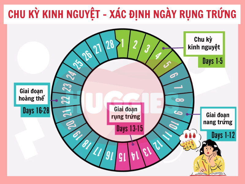 Hình ảnh minh họa mẹ bầu đang quản lý thời gian hoặc lên kế hoạch với lịch trình
