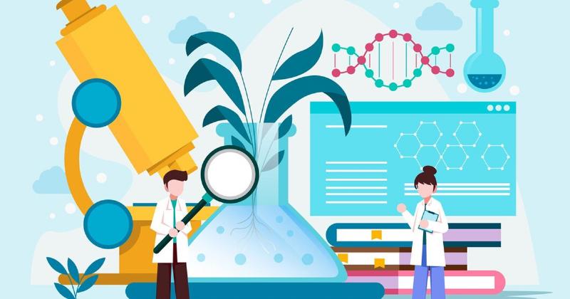 So sánh cấu trúc và chức năng của phương trình hóa học với các loại công thức/khái niệm khác