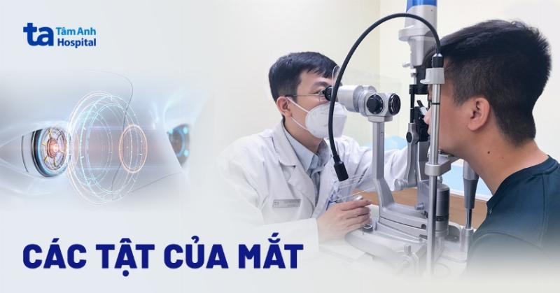 Minh họa cách thấu kính là gì trong kính mắt giúp điều chỉnh các tật khúc xạ như cận thị và viễn thị