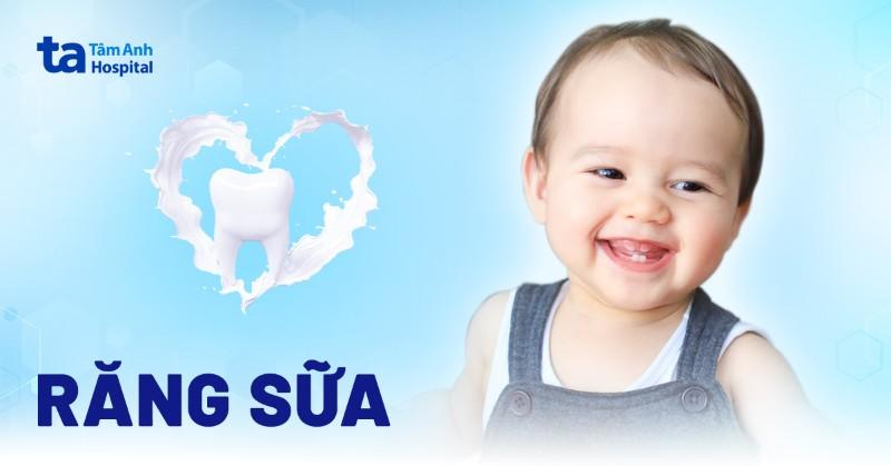 Biểu đồ hoặc hình minh họa thứ tự và thời gian dự kiến mọc 20 chiếc răng sữa của trẻ