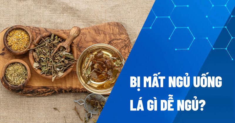 Hình ảnh từng bước làm trà lá đinh lăng khô: 1. Chuẩn bị lá khô, 2. Rửa lá, 3. Cho vào ấm, 4. Đổ nước sôi, 5. Hãm/Sắc, 6. Rót ra cốc