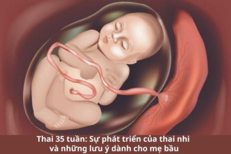 Hình ảnh túi đồ đi sinh đã chuẩn bị sẵn sàng, bao gồm quần áo em bé, tã bỉm, đồ dùng cho mẹ.
