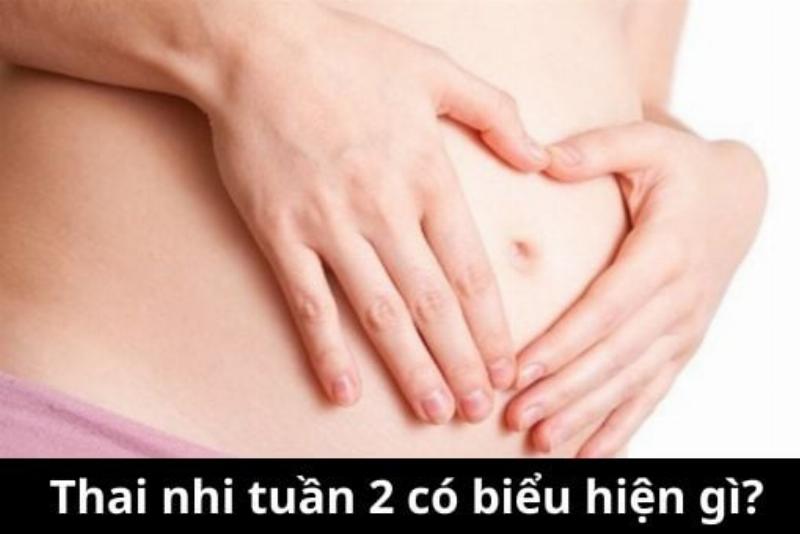 Vận Động Cho Mẹ Bầu 2 Tuần
