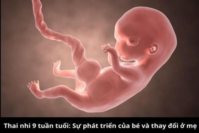 Hình ảnh người đang suy nghĩ, gãi đầu hoặc nhìn vào bảng trắng với nhiều từ ngữ và sơ đồ, tượng trưng cho việc đối mặt và giải quyết khó khăn khi đặt một câu phức tạp.