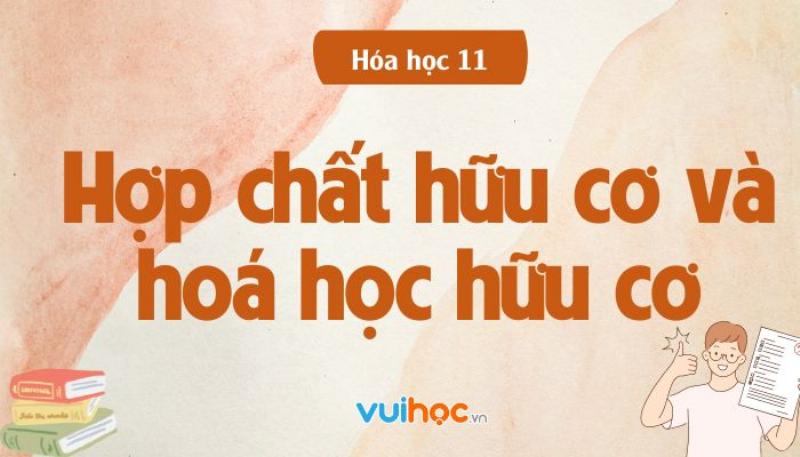 Các nhóm chức cơ bản định hình tính chất hợp chất hữu cơ