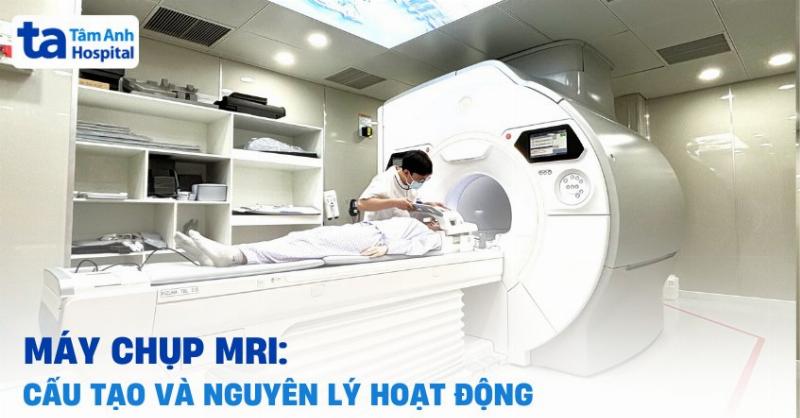 Hinh anh mo ta cau truc domain tu tinh trong vat lieu nam cham