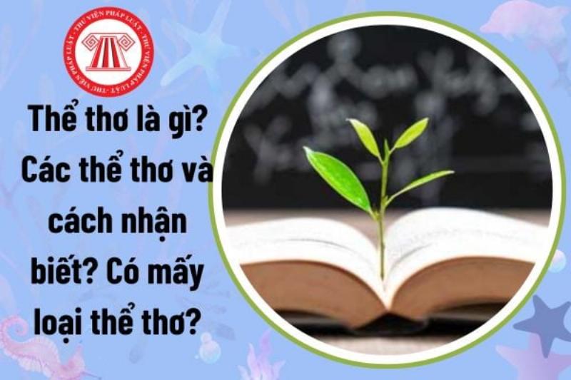 Sơ đồ cấu trúc của thơ Đường Luật Thất Ngôn Bát Cú, minh họa vị trí gieo vần và các cặp câu đối nhau, giúp phân biệt các loại thể thơ.