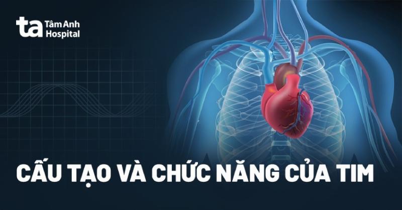 Hình ảnh minh họa mối liên hệ giữa lít dm khối và ml cm khối