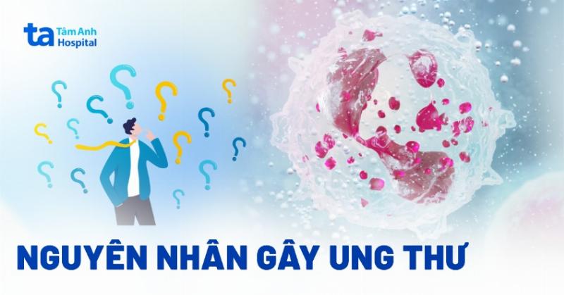 Hình ảnh minh họa các yếu tố của lối sống lành mạnh có lợi cho sức khỏe vú (tập thể dục, ăn uống lành mạnh, không hút thuốc).