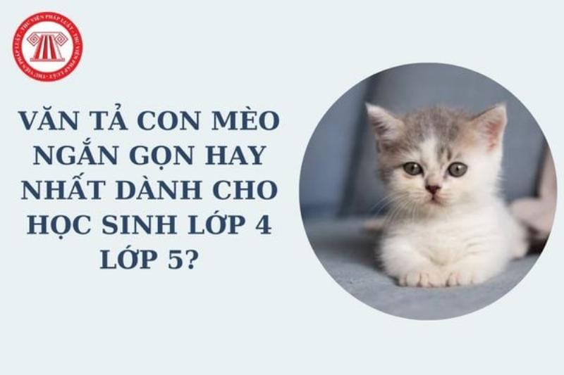 Hình ảnh chú mèo vờn chơi nghịch ngợm với cuộn chỉ len, thể hiện sự đáng yêu và hiếu động của loài mèo, minh họa cho bài văn tả con mèo lớp 4