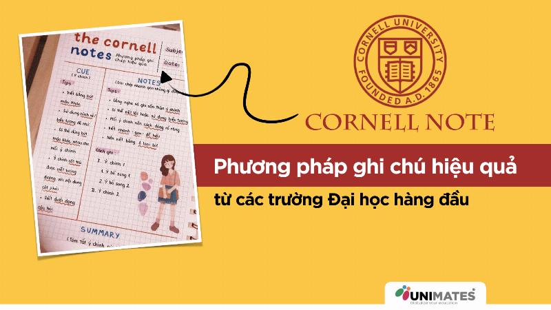 Minh họa người học tiếng Anh áp dụng một phương pháp (method) có cấu trúc, có thể là một người đang sử dụng tài liệu học có kế hoạch, hoặc một biểu đồ tiến trình học tập cá nhân.