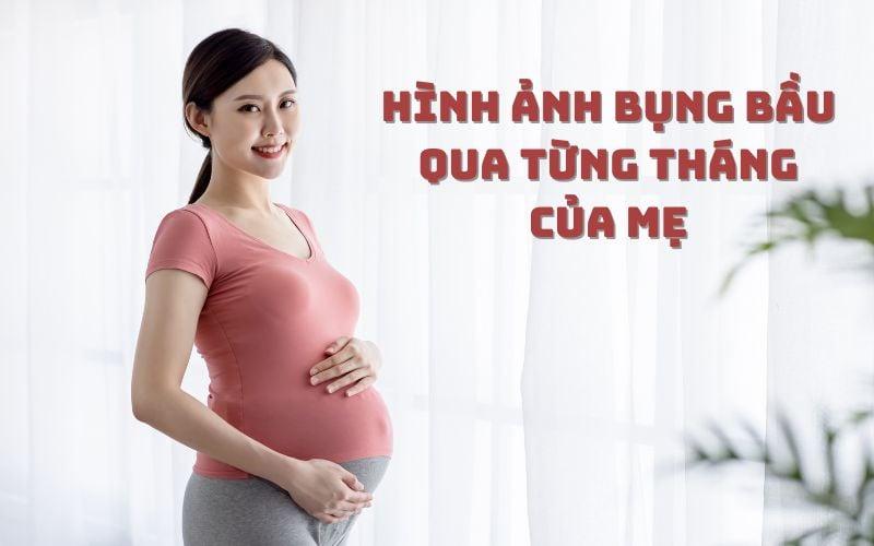 Thai 24 tuần em bé lớn cỡ nào, so sánh kích thước với quả bưởi nhỏ