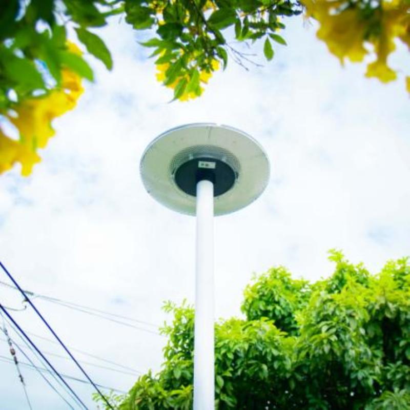 Minh họa ứng dụng tính bán kính trong thiết kế sân vườn hình tròn