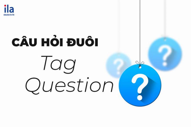 Hình minh họa các cấu trúc đặc biệt dùng V1 như had better, would rather, why not, và trong câu hỏi/phủ định với Do/Does/Did
