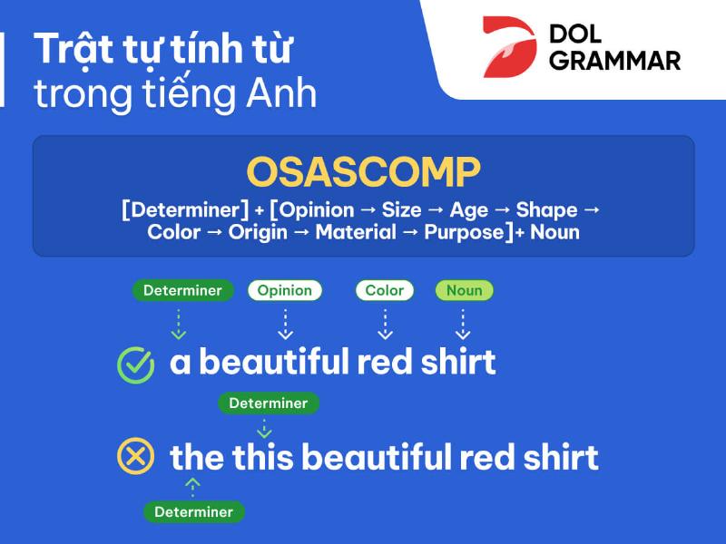 Ví dụ minh họa trật tự của tính từ trong câu tiếng Anh